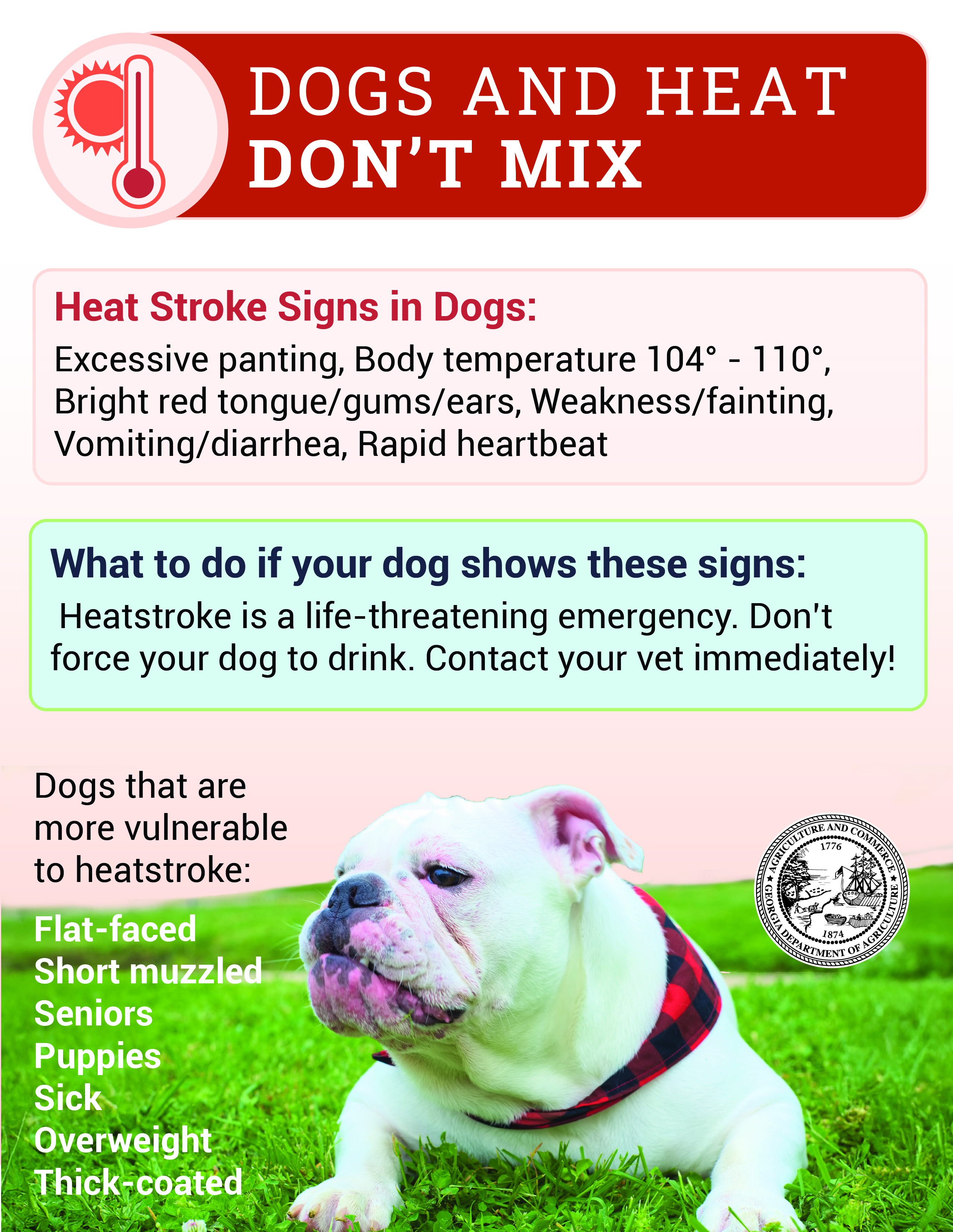 Dogs and Heat Don't Mix Dogs and Heat Don't Mix