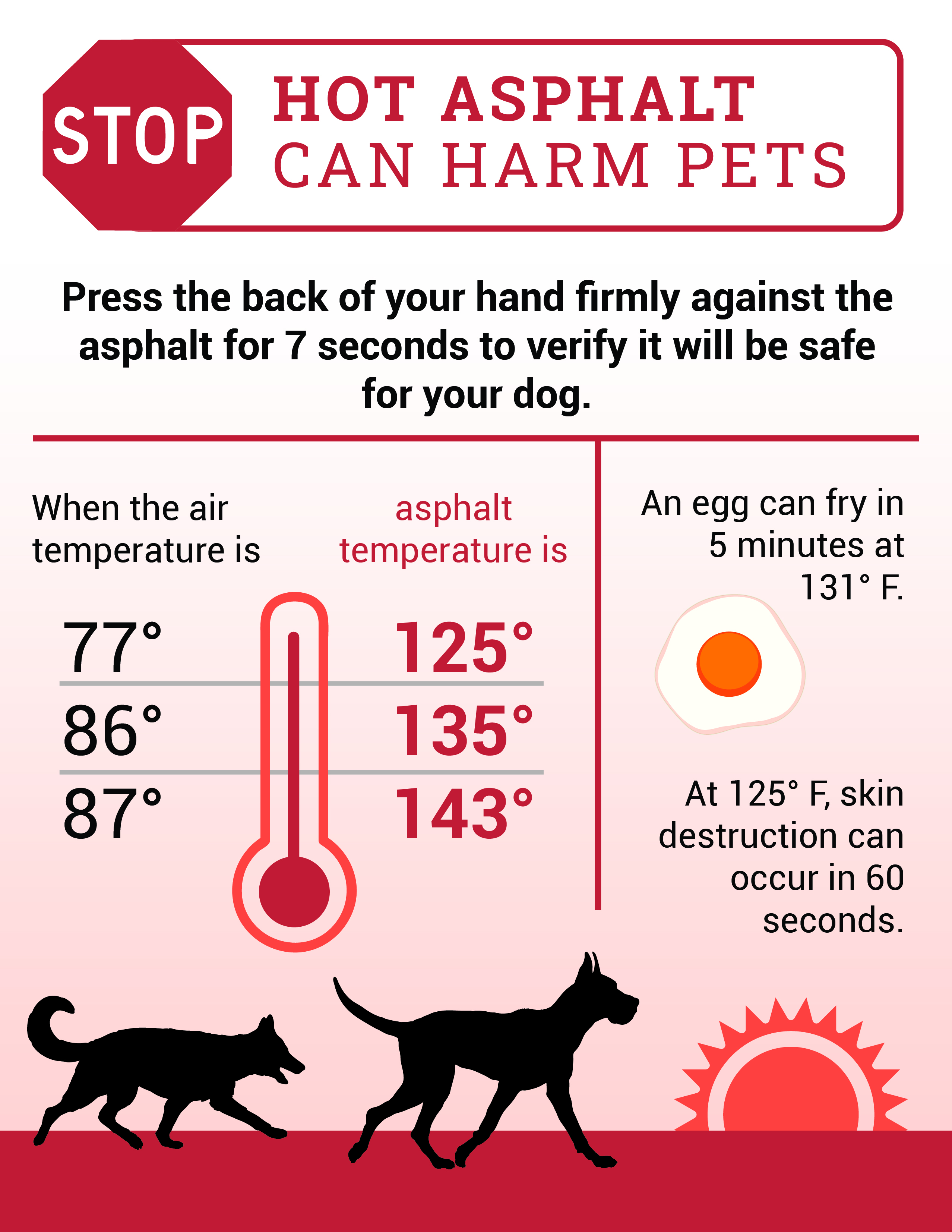 Hot Asphalt Can Harm Pets Hot Asphalt Can Harm Pets
