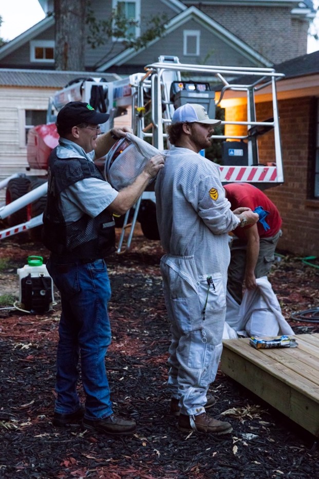 Teams from Herrington Tree Service and Yates-Astro Termite & Pest Control prepare to eradicate the nest.   - Georgia Department of Agriculture