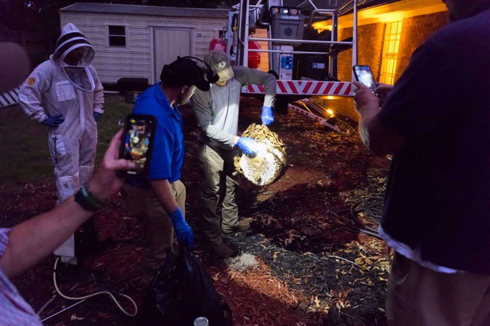 The PPD team inspects the eradicated yellow-legged hornet nest.  - Georgia Department of Agriculture