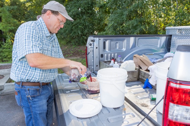 Yellow-legged hornet traps contain a bait made from 2 parts grape juice and 1-part brown sugar. The PPD team has discovered that this mixture effectively attracts the hornets with its scent.  - Georgia Department of Agriculture