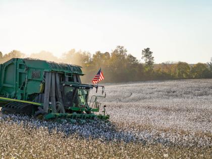 Farmland Maintenance
