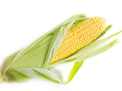 Yellow Corn